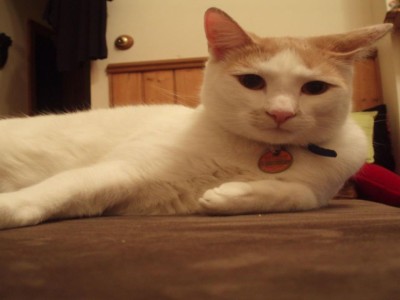 Wahi Hau Oli - Luxusvilla nur wenige Schritte vom Strand in Roche