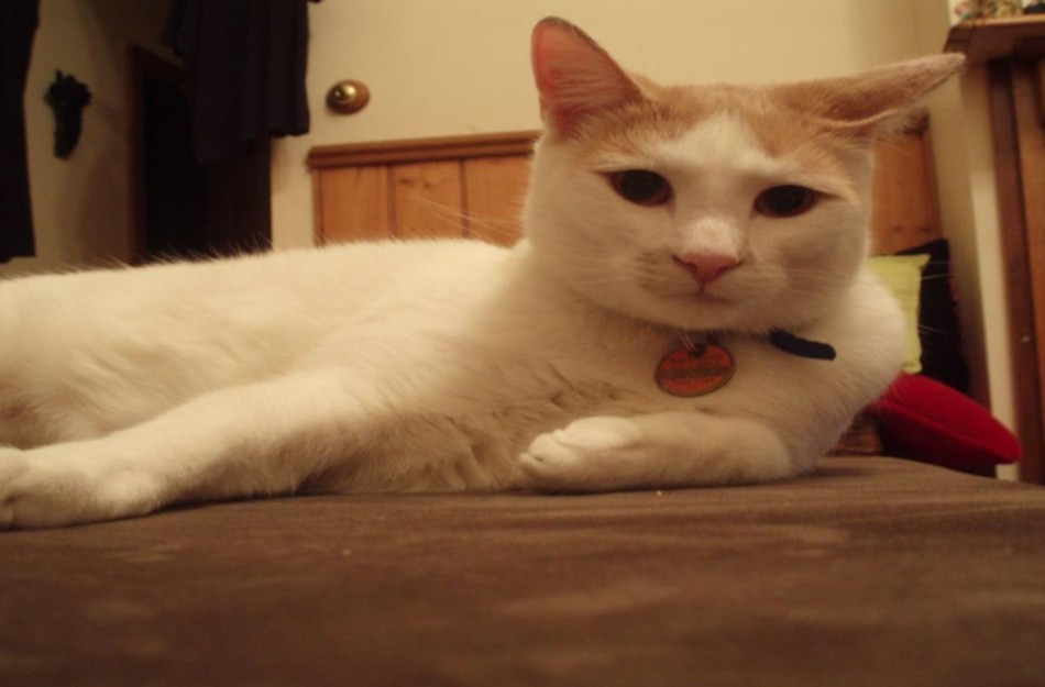 Bild zum Objekt Wahi Hau Oli - Luxusvilla nur wenige Schritte vom Strand in Roche